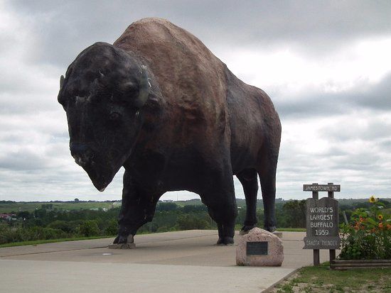 National Buffalo Museum